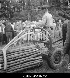 forestry, machinery, tools, carts, logs, transport, spectators Date: undated Keywords: tree trunks, woodworking, carts, machines, spectators, transport, tools Stock Photo