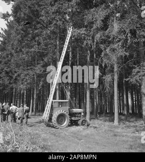 forestry, workers, machinery, tools, ladders, Tractors Date: undated Keywords: workers, woodworking, ladders, machines, tools Personal name: Tractors Stock Photo