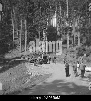 forestry, machinery, tools, workers, aerial platforms, ladders, spectators Date: undated Keywords: workers, woodworking, aerial work, ladders, machines, spectators, tools Stock Photo