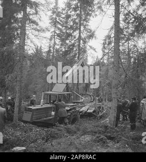 forestry, machines, tools, workers Date: undated Keywords: workers, forestry, machines, tools Stock Photo
