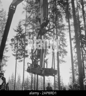 forestry, machines, tools, workers Date: undated Keywords: workers, forestry, machines, tools Stock Photo