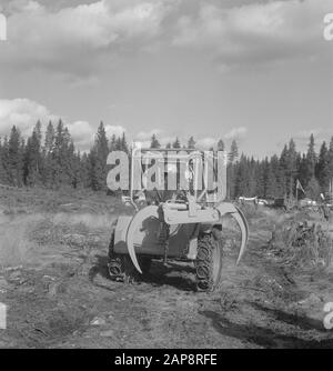 forestry, machines, tools, workers Date: undated Keywords: workers, forestry, machines, tools Stock Photo