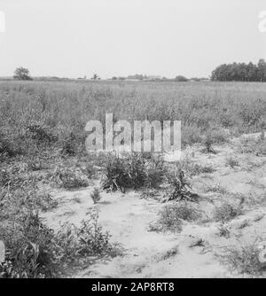 forestry, agricultural machinery, tools, ladders, workers, work, Tractors Date: undated Keywords: workers, woodworking, ladders, agricultural machines, tools, work Personal name: Tractors Stock Photo