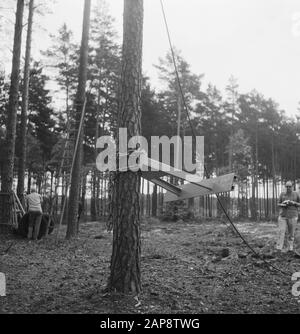 forests, workers, ladders, tools, work Date: undated Keywords: workers, forests, ladders, tools, work Stock Photo