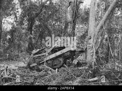 workers, tools, trees Date: undated Keywords: workers, trees, tools Stock Photo