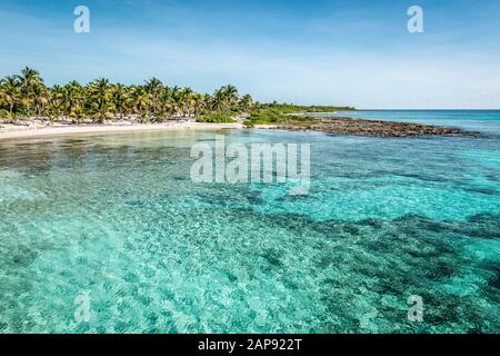 Tropical beach with palm trees and turquoise water at the port of Costa Maya, Mexico. Stock Photo
