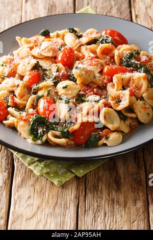 Italian orecchiette pasta cooked with spinach and parmesan in tomato sauce close-up in a plate on the table. Vertical Stock Photo