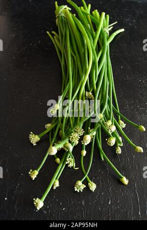 Bunch of onion flower heads on a black background, blooming onion flowers, spring onion with flower heads, allium neapolitanum closeup, scallion. Stock Photo