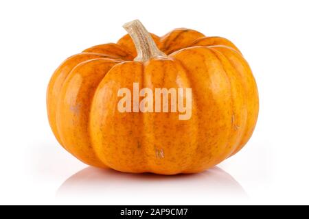 Single mini pumpkin isolated on white background Stock Photo