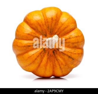 Single mini pumpkin isolated on white background Stock Photo