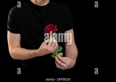 Handsome man hands with red rose flower on black background. Stock Photo