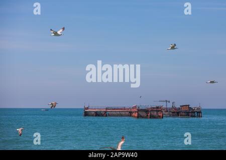 Seagulls flying by a mussel farm in the Black Sea. Stock Photo