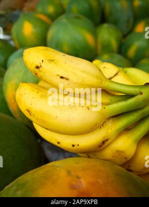 Close up picture of ripe bananas among papayas on a local market, selective focus. Stock Photo
