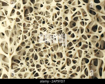 Realistic bone spongy structure close-up, healthy texture of bone, 3d illustration Stock Photo