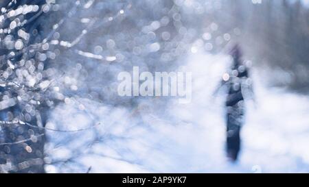 Winter forest. Silhouette of a lonely person in black walking on the road. Stock Photo
