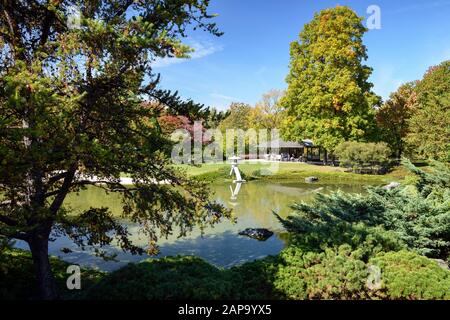 Lovely pond in Montreal Botanical Garden in the autumn, Province of Quebec, CANADA. Stock Photo