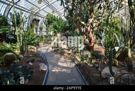 Cactus garden in a greenhouse of the Montreal Botanical Garden, Province of Quebec, CANADA. Stock Photo