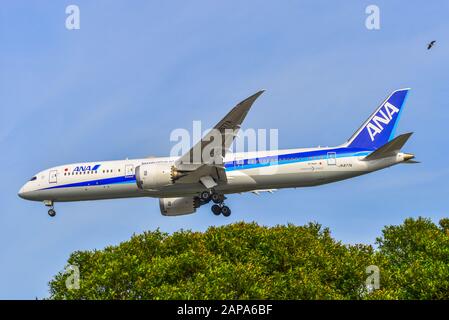 Singapore - Mar 27, 2019. JA877A ANA All Nippon Airways Boeing 787-9 Dreamliner landing at Changi Airport (SIN). Changi serves more than 100 airlines Stock Photo