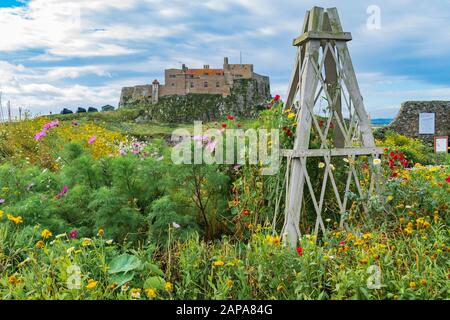 Gertrude Jekyll's garden on Lindisfarne, Northumberland, England. Stock Photo