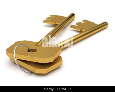 Two golden keys with ring isolated on white background. 3d rendering Stock Photo