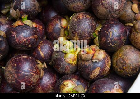 Mangosteen fruit (Garcinia mangostana) Thailand . Stock Photo