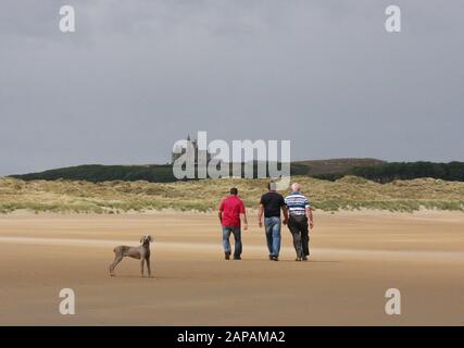 Three men out walking a Weimaraner dog on a sandy Irish beach in summer at Mullaghmore with the dog looking at the camera,  Classiebawn ahead. Stock Photo