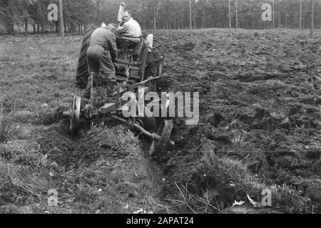 forestry, machines, tools, workers Date: undated Keywords: workers, woodworking, machines, tools Stock Photo