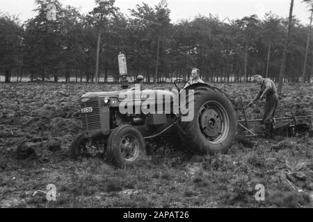 forestry, machines, tools, workers Date: undated Keywords: workers, forestry, machines, tools Stock Photo