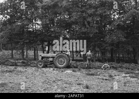 forestry, machines, tools, workers Date: undated Keywords: workers, forestry, machines, tools Stock Photo