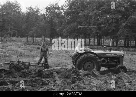 forestry, machines, tools, workers Date: undated Keywords: workers, forestry, machines, tools Stock Photo