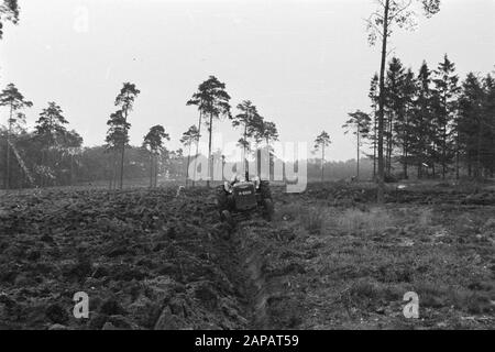 forestry, machines, tools, workers Date: undated Keywords: workers, forestry, machines, tools Stock Photo