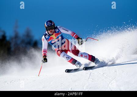 Matthias Mayer of Austria at the Ski Alpin: 80. Hahnenkamm Race 2020 - Audi FIS Alpine Ski World Cup - Men's Downhill Training at the Streif on January 22, 2020 in Kitzbuehel, AUSTRIA. (Photo by Horst Ettensberger/ESPA-Images) Stock Photo
