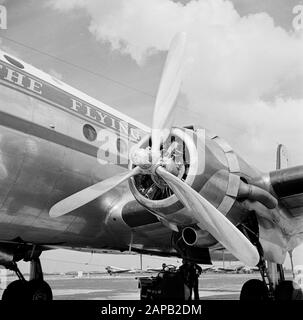 Corporate style and emblems KLM Description: The Douglas DC-4 Edam with the KLM corporate identity on the hull as well as on the motorbike gondolas at Schiphol Airport Date: August 1951 Location: Noord-Holland, Schiphol Keywords: engines, hulls, motor gondolas, aircraft Stock Photo