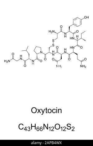 Oxytocin molecule, skeletal formula. C43H66N12O12S2, a peptide hormone, neuropeptide and neurotransmitter. Stock Photo
