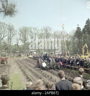 [Forestry demonstration plows and plants] Date: undated Keywords: workers, forestry, demonstrations, agricultural machinery, planting work, spectators, flags, tools Stock Photo