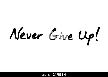 Never Give Up! handwritten on a white background. Stock Photo