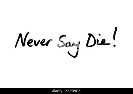 Never Say Die! handwritten on a white background. Stock Photo