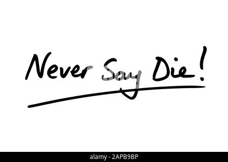 Never Say Die! handwritten on a white background. Stock Photo