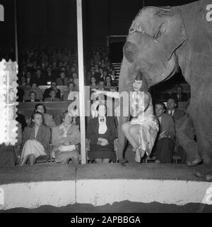 Circus Mikkenie in Turnhout Belgium Date: July 13, 1951 Location: Belgium, Turnhout Keywords: Circus Mikkenie Stock Photo