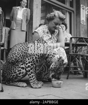 Circus Mikkenie in Turnhout Belgium Date: July 13, 1951 Location: Belgium, Turnhout Keywords: Circus Mikkenie Stock Photo