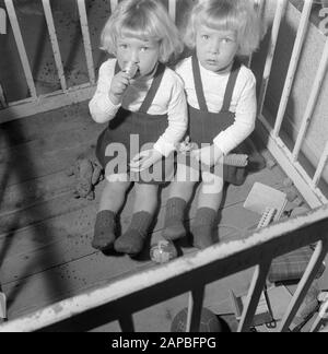 November 8 Siamese twins Folkje en Tjitske de Vries Date: November 1, 1955 Keywords: Siamese twins Personname: Folkje, Vries, Tjitske de Stock Photo