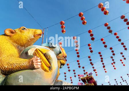 Rat statue and red lantern during Chinese New Year week at Peak Nam Toong Temple in Kota Kinabalu Sabah Borneo Malaysia. Year 2020 is the year of Rat Stock Photo