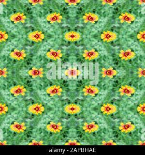 Colorful seamless background of gaillardia flowers on a summer meadow Stock Photo