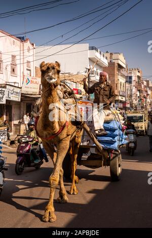 India, Rajasthan, Shekhawati, Bikaner, Old City, Teliwara Road, Camel pulling cart along main shopping street Stock Photo