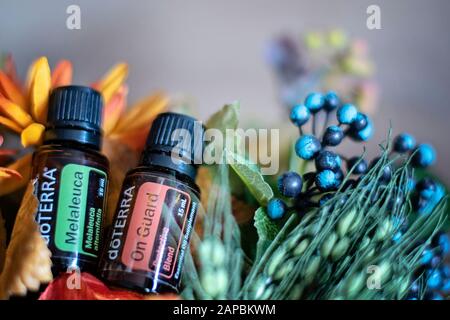 Banska Bystrica, Slovakia - October 6th 2019: High quality essential oils Doterra brand. On Guard and Melaleuca essential oil. Healthcare and wellbein Stock Photo