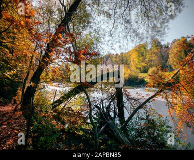 River ISAR during colored autumn north of Munich Stock Photo