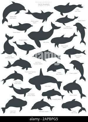 Dolphins silhouettes set. Marine mammals collection. Cartoon flat style design. Vector illustration Stock Vector