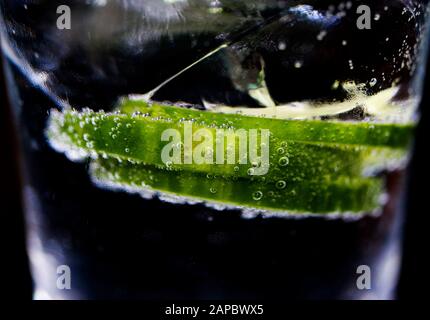 Gin tonic: Macro close up of green cucumber slices with sparkling bubbles and ice cubes in cocktail glass. Black background. Stock Photo