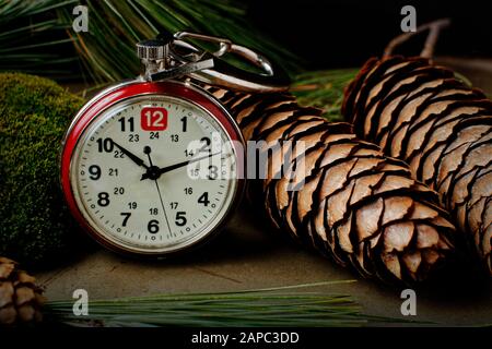 A red and white generic pocket watch leans against pine needles, cones, and moss. Stock Photo