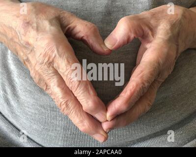 wrinkled hands of a senior person, making heart shape with copy space Stock Photo